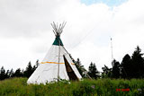 _tipi.jpg