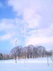 p014.jpg