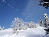 _cqww055.jpg