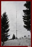 _cqww7265.jpg