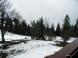 2005/_P4230009.jpg