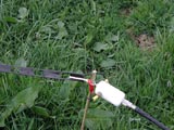 2007/_12h2607.jpg
